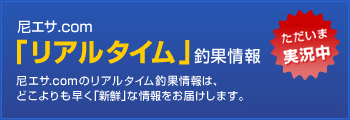 ��G�T.com�u���A���^�C���v�މʏ��
