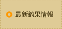 �ǿ���̾���