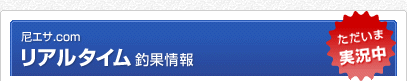 ������.com �ꥢ�륿������̾���
