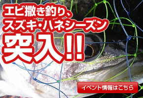 ���ӻ�����ꥹ�������ϥͥ���������������