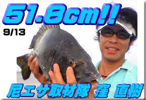 �Ф���ǯ̵����