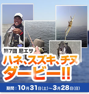 ��7�� �ϥ͡������������� �����ӡ�! 10��31�����ڡˡ�3��28��������