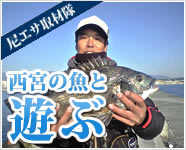 尼エサ取材隊ブログ 西宮の魚と遊ぶ